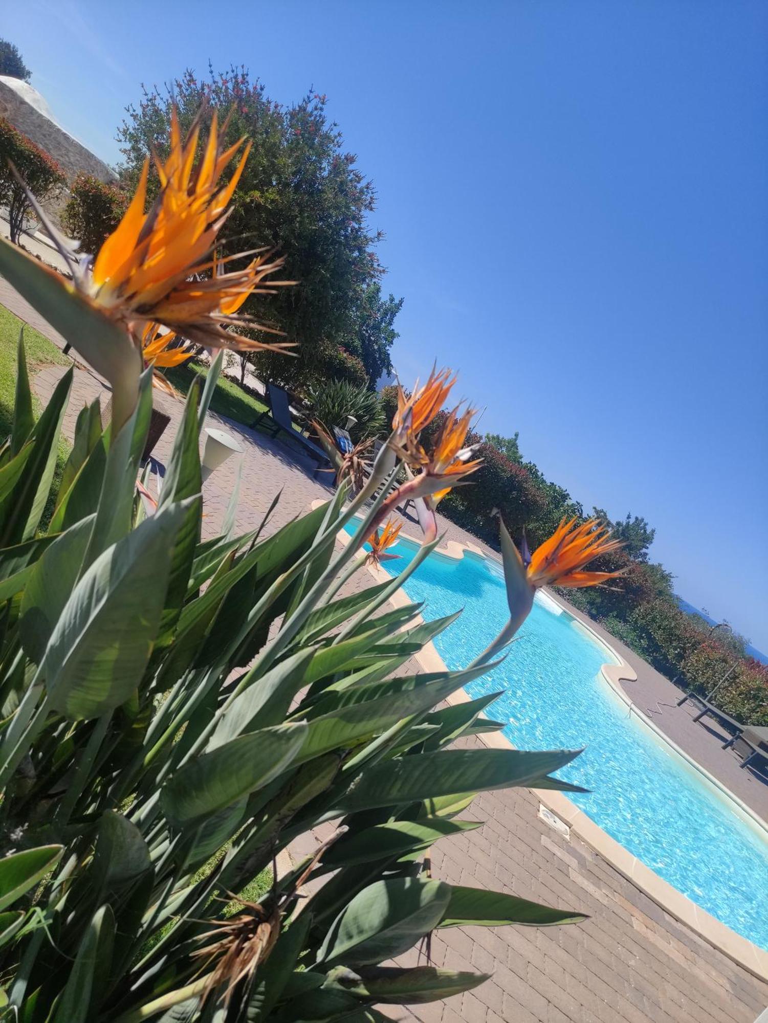 B&B La Vigna Carovigno Luaran gambar