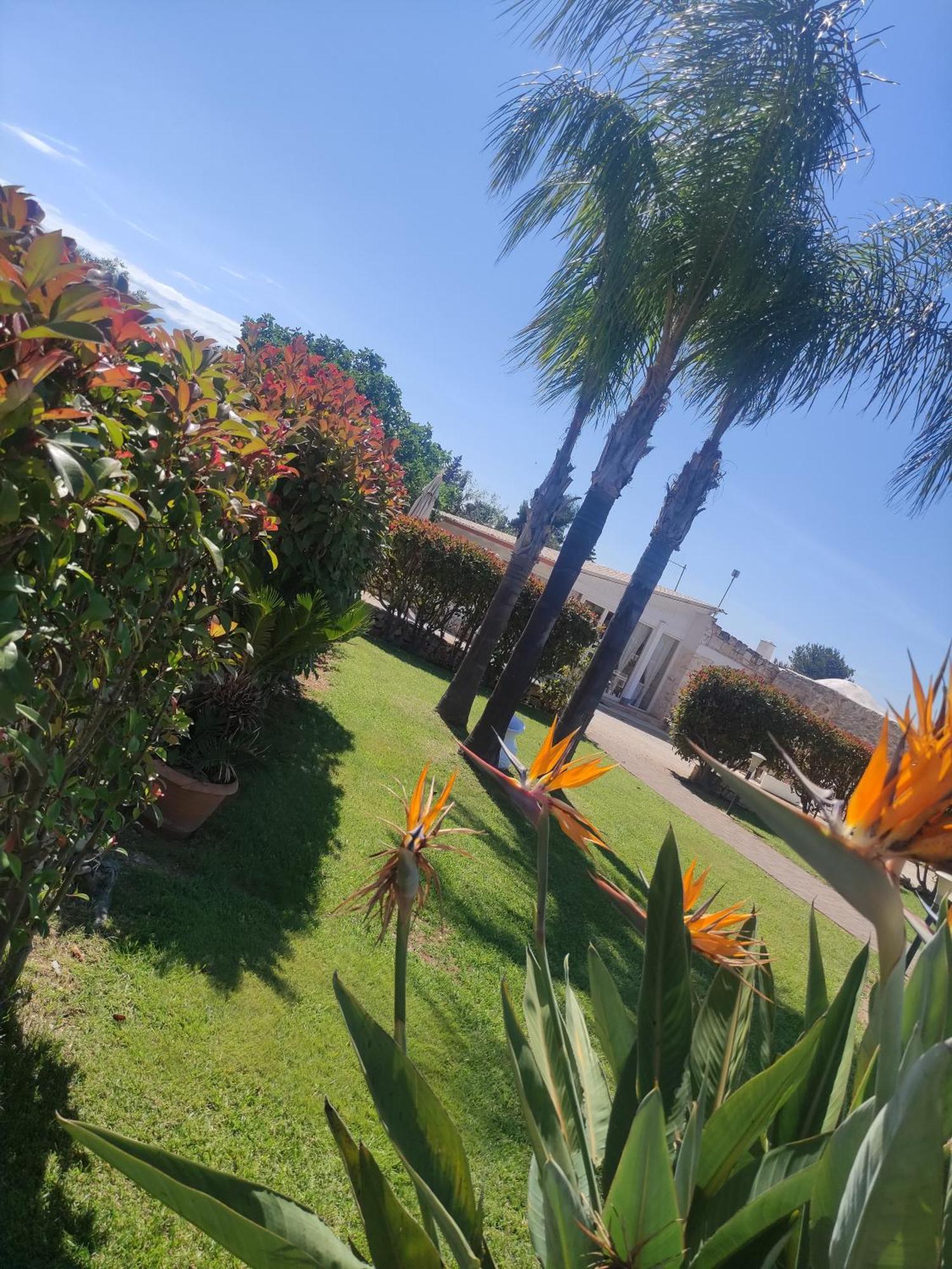 B&B La Vigna Carovigno Luaran gambar